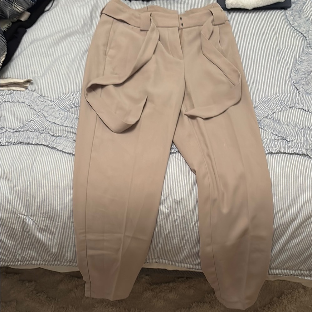 Express Tan Trousers High-Waisted Pleated Design